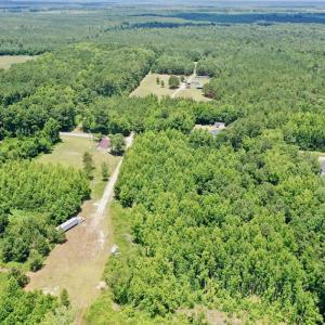 Photo #32 of SOLD property in 2910 Hills Neck Road, Emul, NC 1.9 acres