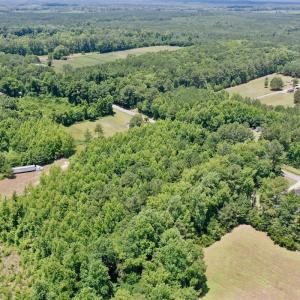 Photo #34 of SOLD property in 2910 Hills Neck Road, Emul, NC 1.9 acres