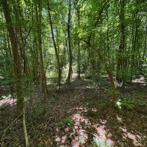 Photo #46 of SOLD property in 2910 Hills Neck Road, Emul, NC 1.9 acres