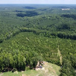 Photo #2 of SOLD property in Off Cortez Morrison Rd, Broadway, NC 29.3 acres