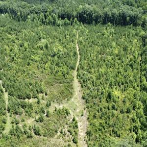 Photo #11 of SOLD property in Off Cortez Morrison Rd, Broadway, NC 29.3 acres