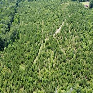 Photo #13 of SOLD property in Off Cortez Morrison Rd, Broadway, NC 29.3 acres