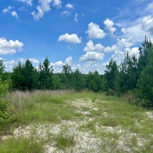 Photo #14 of SOLD property in Off Cortez Morrison Rd, Broadway, NC 29.3 acres