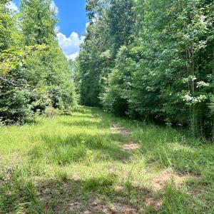 Photo #20 of SOLD property in Off Cortez Morrison Rd, Broadway, NC 29.3 acres