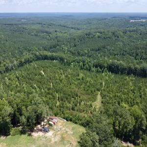 Photo #3 of SOLD property in Off Cortez Morrison Rd, Broadway, NC 29.3 acres