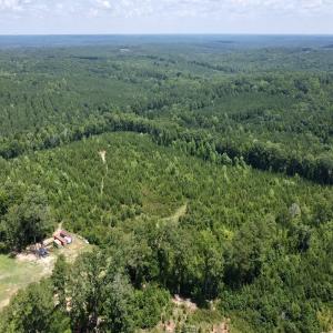 Photo #4 of SOLD property in Off Cortez Morrison Rd, Broadway, NC 29.3 acres