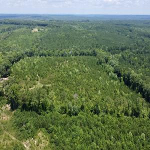 Photo #5 of SOLD property in Off Cortez Morrison Rd, Broadway, NC 29.3 acres