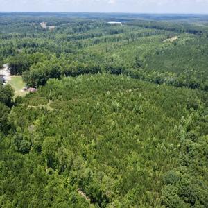Photo #6 of SOLD property in Off Cortez Morrison Rd, Broadway, NC 29.3 acres
