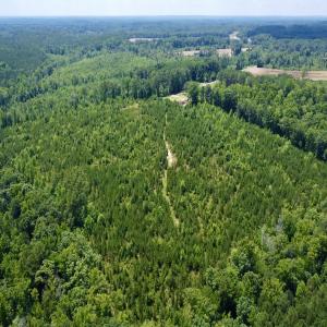 Photo #7 of SOLD property in Off Cortez Morrison Rd, Broadway, NC 29.3 acres
