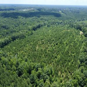 Photo #8 of SOLD property in Off Cortez Morrison Rd, Broadway, NC 29.3 acres