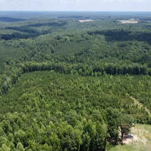 Photo #9 of SOLD property in Off Cortez Morrison Rd, Broadway, NC 29.3 acres
