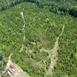 Photo #10 of SOLD property in Off Cortez Morrison Rd, Broadway, NC 29.3 acres