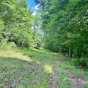 Photo #21 of SOLD property in Off Cortez Morrison Rd, Broadway, NC 29.3 acres