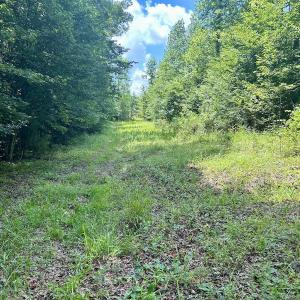 Photo #22 of SOLD property in Off Cortez Morrison Rd, Broadway, NC 29.3 acres