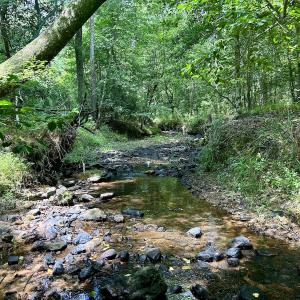 Photo #23 of SOLD property in Off Cortez Morrison Rd, Broadway, NC 29.3 acres