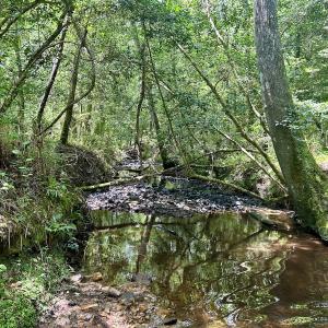 Photo #24 of SOLD property in Off Cortez Morrison Rd, Broadway, NC 29.3 acres