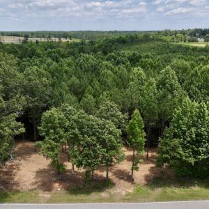 Photo #12 of SOLD property in 8 Peachtree Hills Road, Spring Hope, NC 11.0 acres