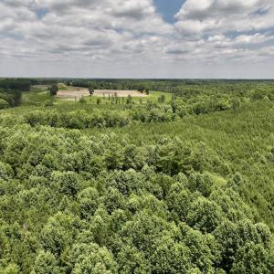 Photo #14 of SOLD property in 8 Peachtree Hills Road, Spring Hope, NC 11.0 acres