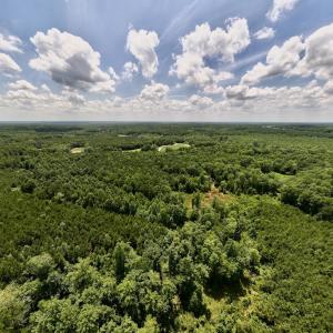 Photo #15 of SOLD property in 8 Peachtree Hills Road, Spring Hope, NC 11.0 acres