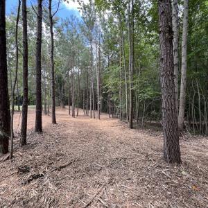 Photo #16 of SOLD property in 8 Peachtree Hills Road, Spring Hope, NC 11.0 acres