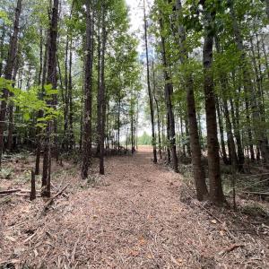 Photo #17 of SOLD property in 8 Peachtree Hills Road, Spring Hope, NC 11.0 acres