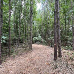 Photo #18 of SOLD property in 8 Peachtree Hills Road, Spring Hope, NC 11.0 acres