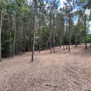 Photo #20 of SOLD property in 8 Peachtree Hills Road, Spring Hope, NC 11.0 acres