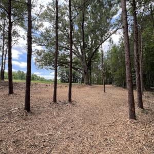 Photo #22 of SOLD property in 8 Peachtree Hills Road, Spring Hope, NC 11.0 acres