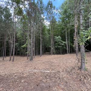 Photo #26 of SOLD property in 8 Peachtree Hills Road, Spring Hope, NC 11.0 acres