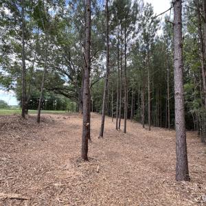 Photo #27 of SOLD property in 8 Peachtree Hills Road, Spring Hope, NC 11.0 acres