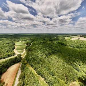 Photo #6 of SOLD property in 8 Peachtree Hills Road, Spring Hope, NC 11.0 acres