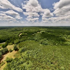 Photo #7 of SOLD property in 8 Peachtree Hills Road, Spring Hope, NC 11.0 acres