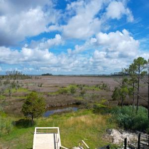 Photo #10 of SOLD property in 23519 Guardshore Rd, Bloxom, VA 10.0 acres
