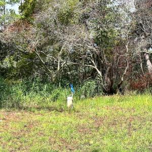 Photo #11 of SOLD property in 23519 Guardshore Rd, Bloxom, VA 10.0 acres