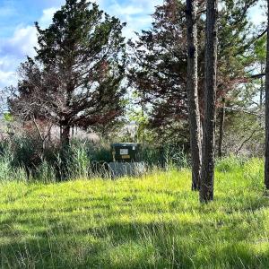 Photo #12 of SOLD property in 23519 Guardshore Rd, Bloxom, VA 10.0 acres