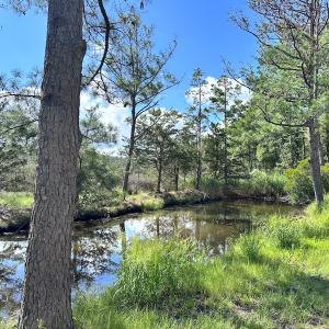Photo #13 of SOLD property in 23519 Guardshore Rd, Bloxom, VA 10.0 acres