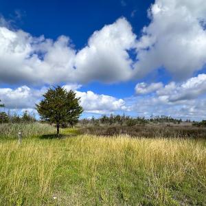 Photo #15 of SOLD property in 23519 Guardshore Rd, Bloxom, VA 10.0 acres