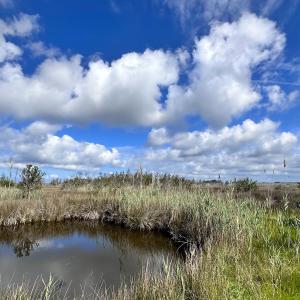 Photo #16 of SOLD property in 23519 Guardshore Rd, Bloxom, VA 10.0 acres