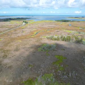 Photo #18 of SOLD property in 23519 Guardshore Rd, Bloxom, VA 10.0 acres