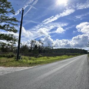 Photo #5 of SOLD property in 23519 Guardshore Rd, Bloxom, VA 10.0 acres