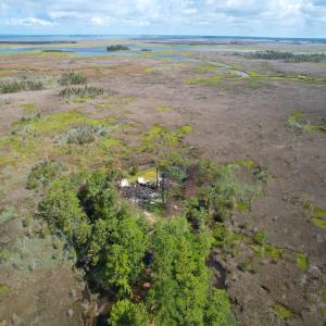 Photo #7 of SOLD property in 23519 Guardshore Rd, Bloxom, VA 10.0 acres