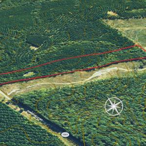 Photo #9 of SOLD property in Off Townsville Road - Lot 4B, Bullock, NC 18.8 acres