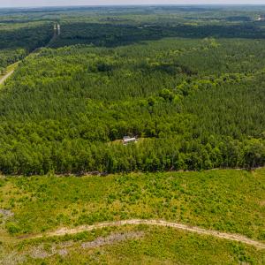 Photo #13 of SOLD property in Off Townsville Road - Lot 4B, Bullock, NC 18.8 acres