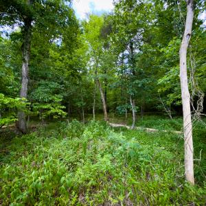 Photo #14 of SOLD property in Off Townsville Road - Lot 4B, Bullock, NC 18.8 acres