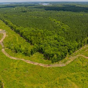 Photo #16 of SOLD property in Off Townsville Road - Lot 4B, Bullock, NC 18.8 acres