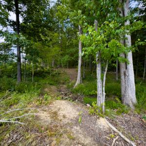 Photo #18 of SOLD property in Off Townsville Road - Lot 4B, Bullock, NC 18.8 acres