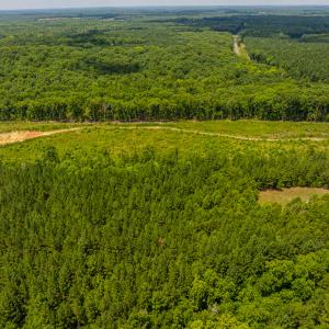 Photo #24 of SOLD property in Off Townsville Road - Lot 4B, Bullock, NC 18.8 acres