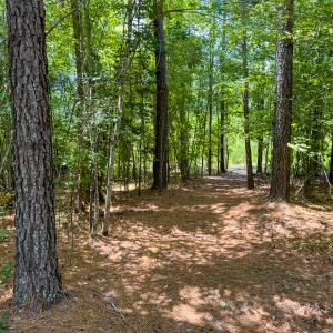 Photo #27 of SOLD property in Off Townsville Road - Lot 4B, Bullock, NC 18.8 acres