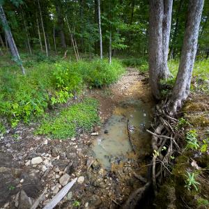 Photo #33 of SOLD property in Off Townsville Road - Lot 4B, Bullock, NC 18.8 acres