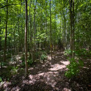 Photo #36 of SOLD property in Off Townsville Road - Lot 4B, Bullock, NC 18.8 acres